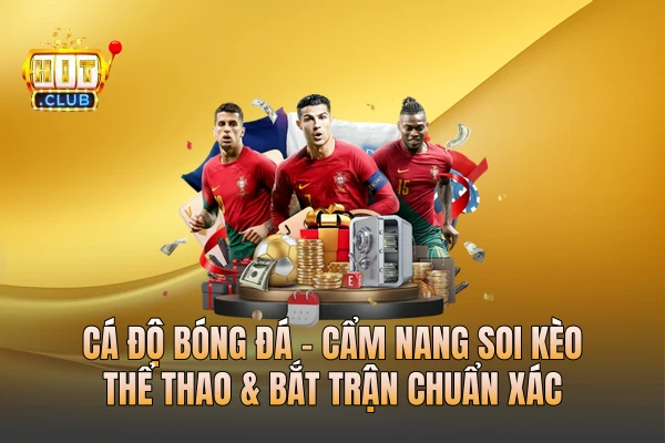 Cá Độ Bóng Đá - Cẩm Nang Soi Kèo Thể Thao & Bắt Trận Chuẩn Xác