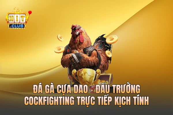 Đá Gà Cựa Dao - Đấu Trường Cockfighting Trực Tiếp Kịch Tính