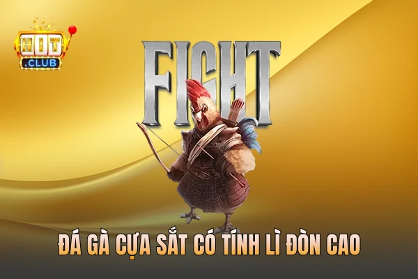 Đá gà cựa sắt có tính lì đòn cao