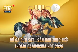Đá Gà Cựa Sắt - Sàn Đấu Trực Tiếp Thomo Campuchia Hot 2026