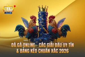 Đá Gà Online - Các Giải Đấu Uy Tín & Bảng Kèo Chuẩn Xác 2026