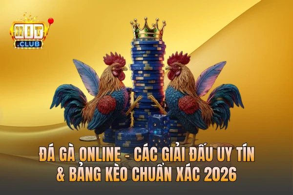 Đá Gà Online - Các Giải Đấu Uy Tín & Bảng Kèo Chuẩn Xác 2026