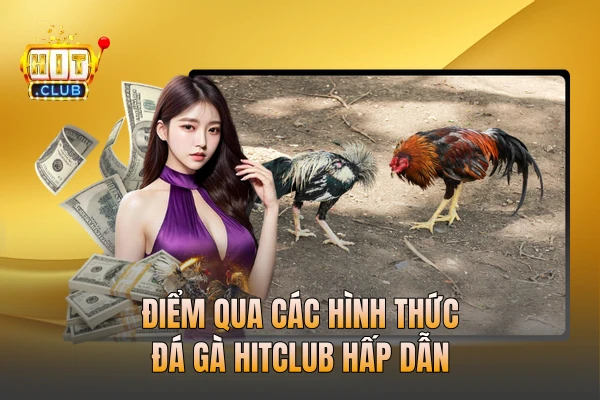Điểm qua các hình thức đá gà HITCLUB hấp dẫn