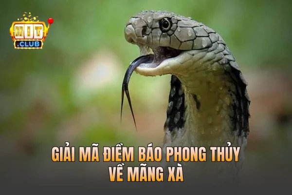 Giải mã điềm báo phong thủy về mãng xà