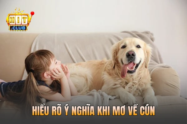 Hiểu rõ ý nghĩa khi mơ về cún