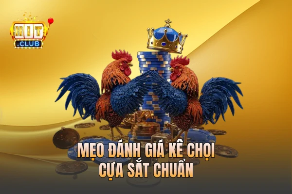 Mẹo đánh giá kê chọi cựa sắt chuẩn