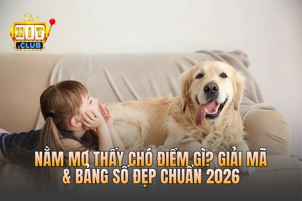 Nằm Mơ Thấy Chó Điềm Gì? Giải Mã & Bảng Số Đẹp Chuẩn 2026
