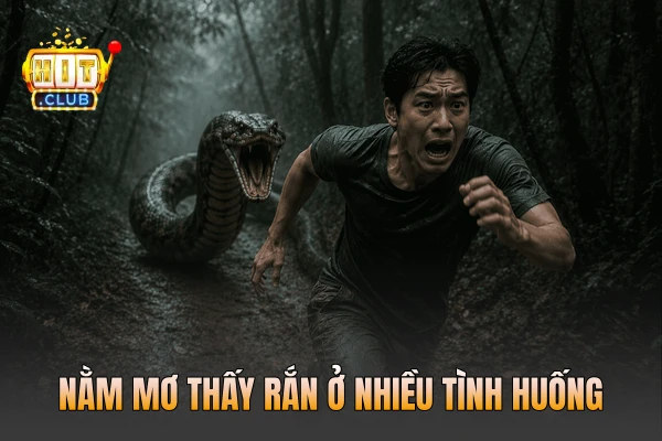 Nằm mơ thấy rắn ở nhiều tình huống