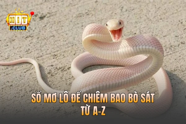 Sổ mơ lô đề chiêm bao bò sát từ A-Z