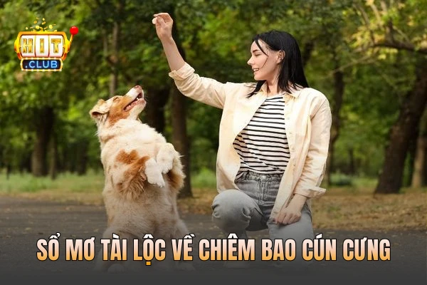 Sổ mơ tài lộc về chiêm bao cún cưng