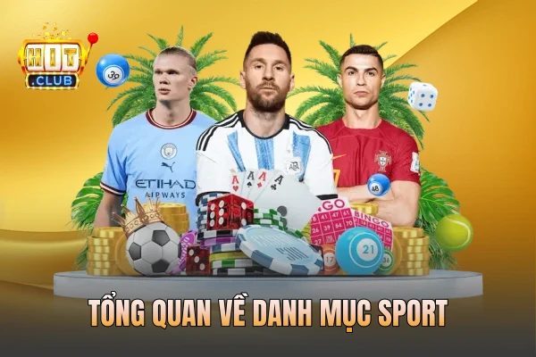 Tổng quan về danh mục sports